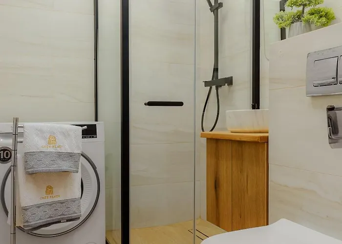 Apartamento Cozy Flat - Grivitei