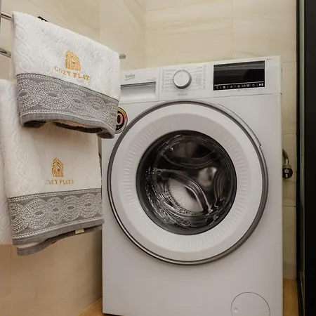Lägenhet Cozy Flat - Grivitei *